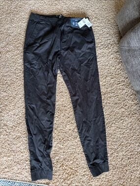 Hollister jogger